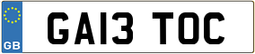 Truck License Plate